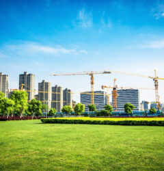 buildings in a serene environment - sustainable construction